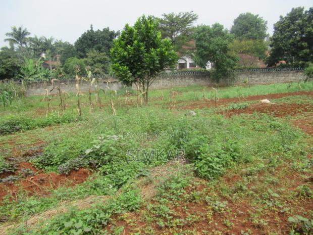 0.5-Acre Plot for Sale in Runda - thumbnail 7