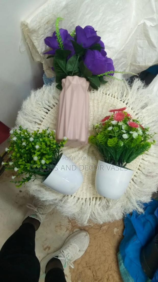 Bonsai Potted Plants Red White - main view