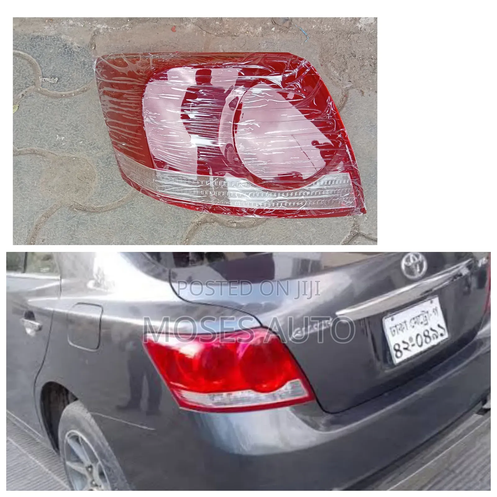 Allion 265 Back Lights/Taillight Lens