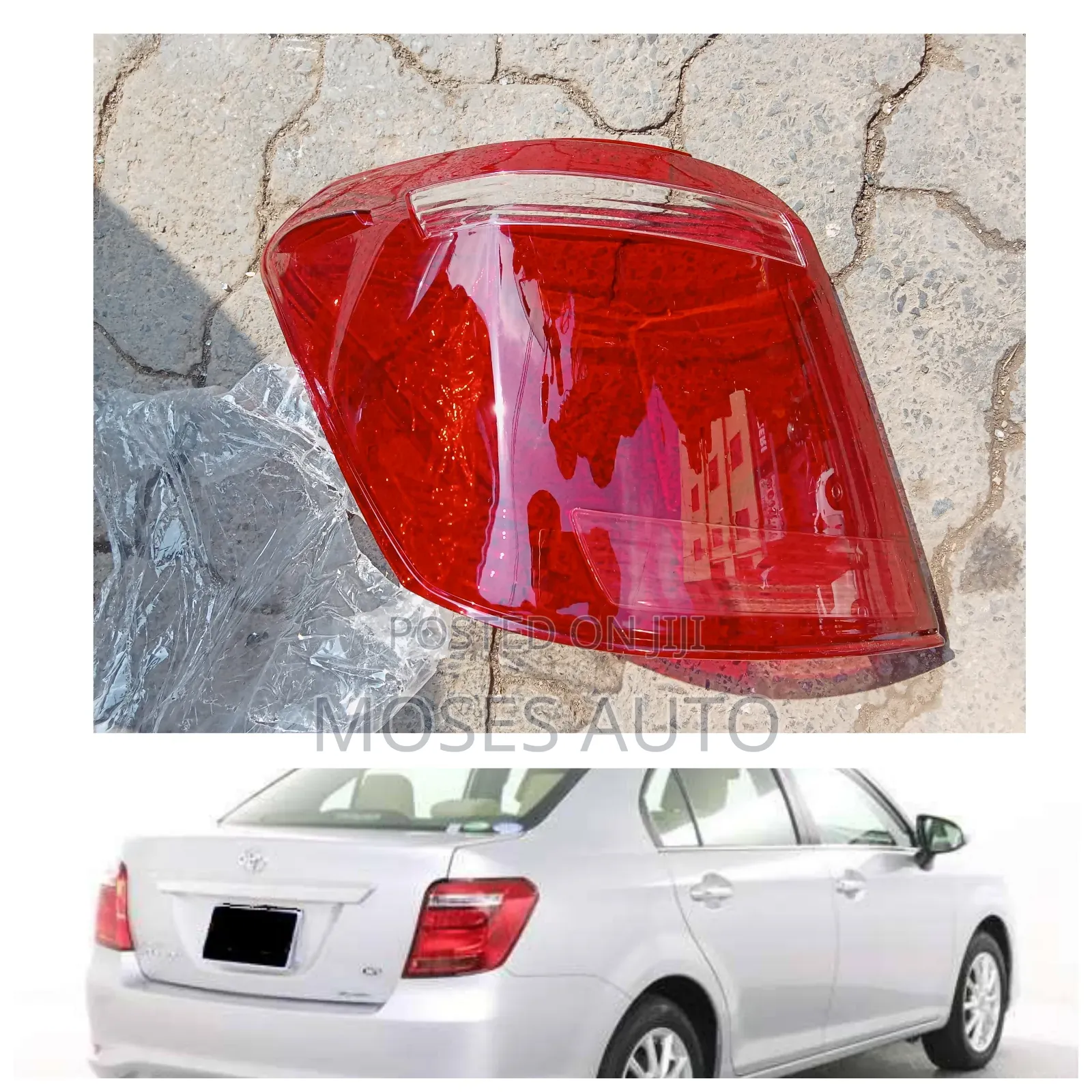 Axio 2014-2018 Back Lights/Taillight Lens