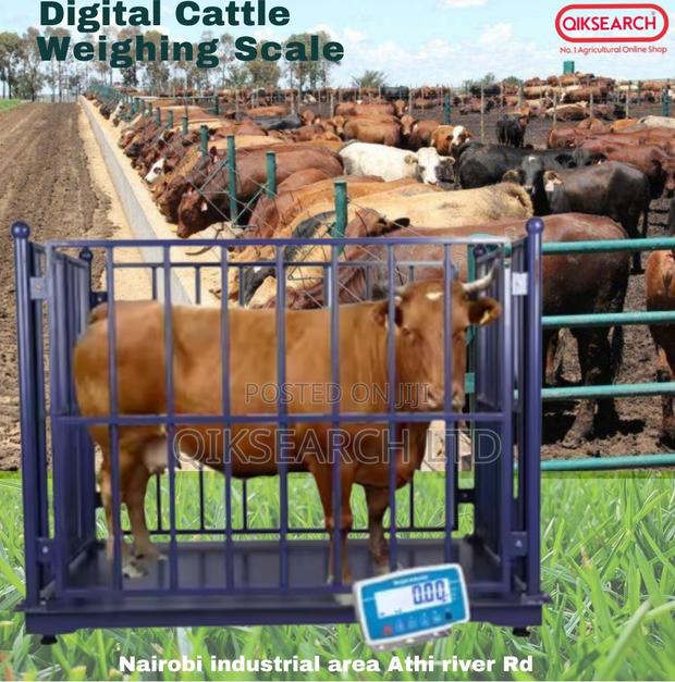 Cow Weighing Scale Digital 1 Tonne Weighing Scale