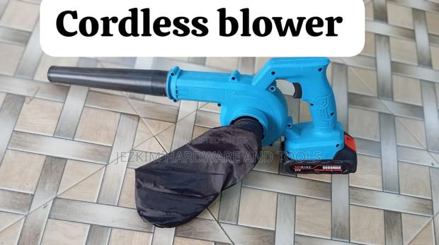 Blower Cordless