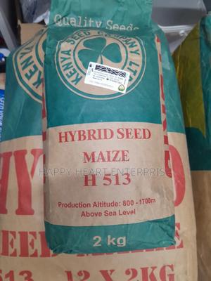 H 513 Hybrid Seed Maize 2kgs - main view
