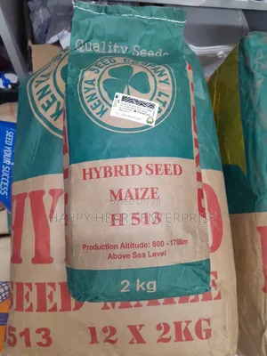 H 513 Hybrid Seed Maize 2kgs