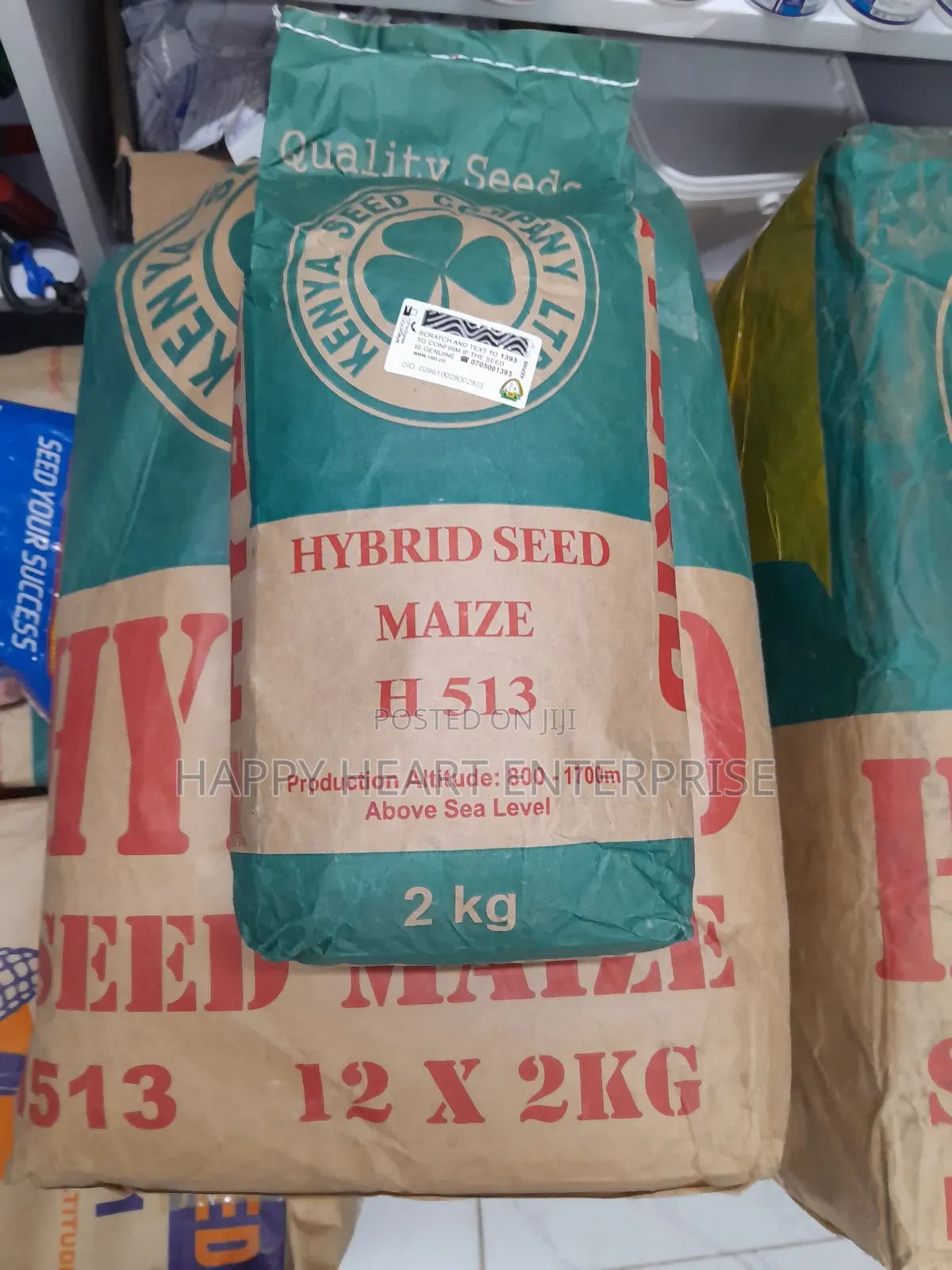 H 513 Hybrid Seed Maize 2kgs