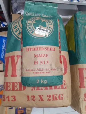 H 513 Hybrid Seed Maize 2kgs