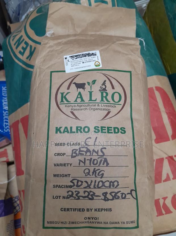 Nyota Beans F1 2kgs - thumbnail 3