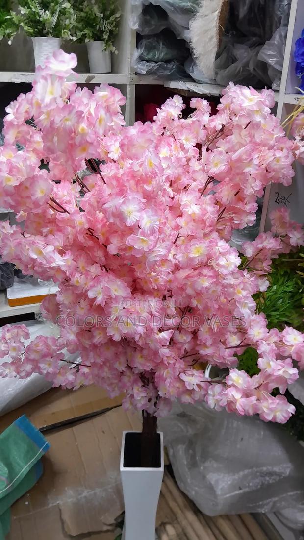 Blossom Tree Variety of Colours
