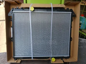 Vigo Automatic Radiator on Sale