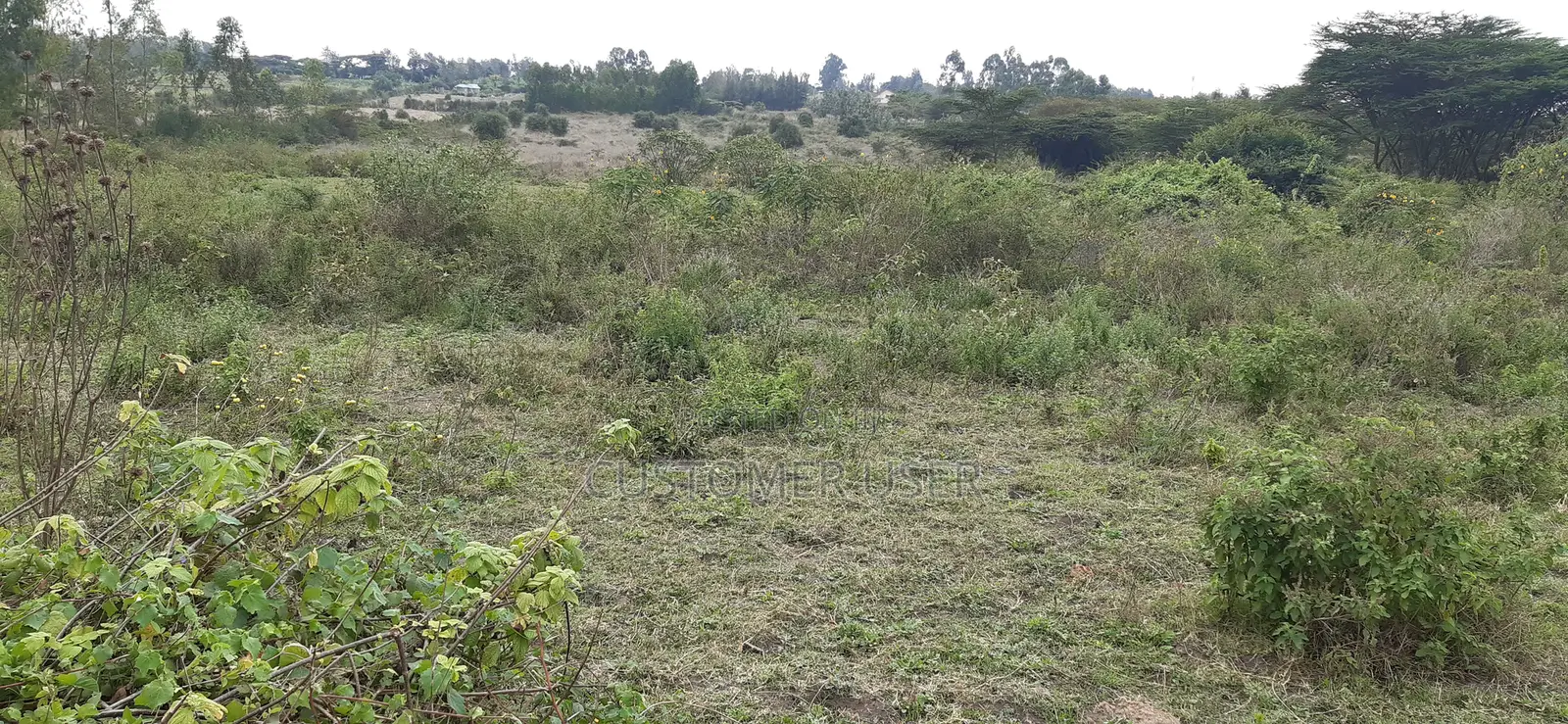 6 Acre Land for Sale Off Kiserian-Pipeline Road