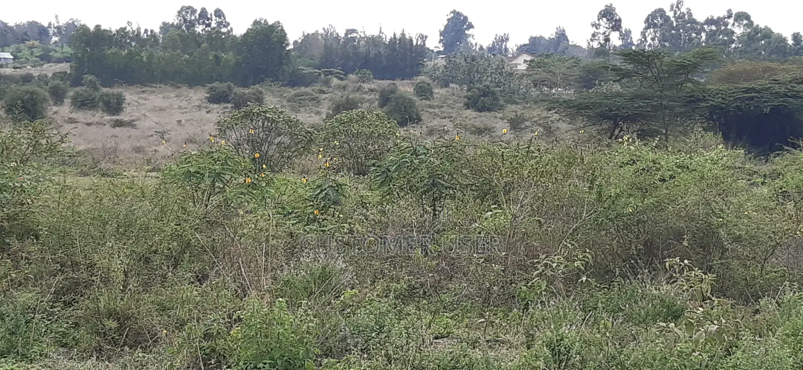 6 Acre Land for Sale Off Kiserian-Pipeline Road