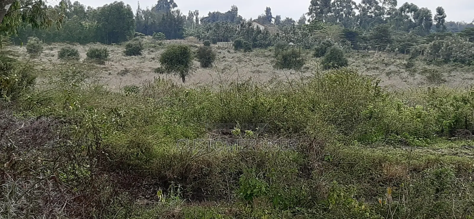 6 Acre Land for Sale Off Kiserian-Pipeline Road