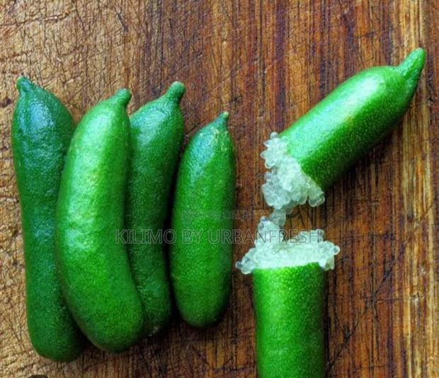 Finger Lime - main view