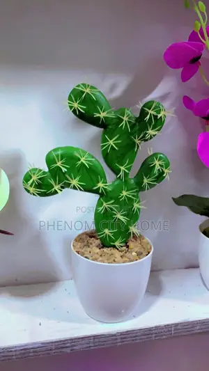 Artificial Cactus Decor Plants