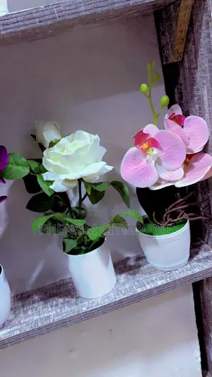 Artificial Cactus Decor Plants
