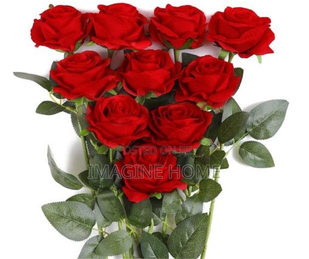 Red Roses Beautiful Flower
