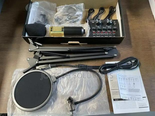 Professional High Quality Condenser Microphone With Sound - main view