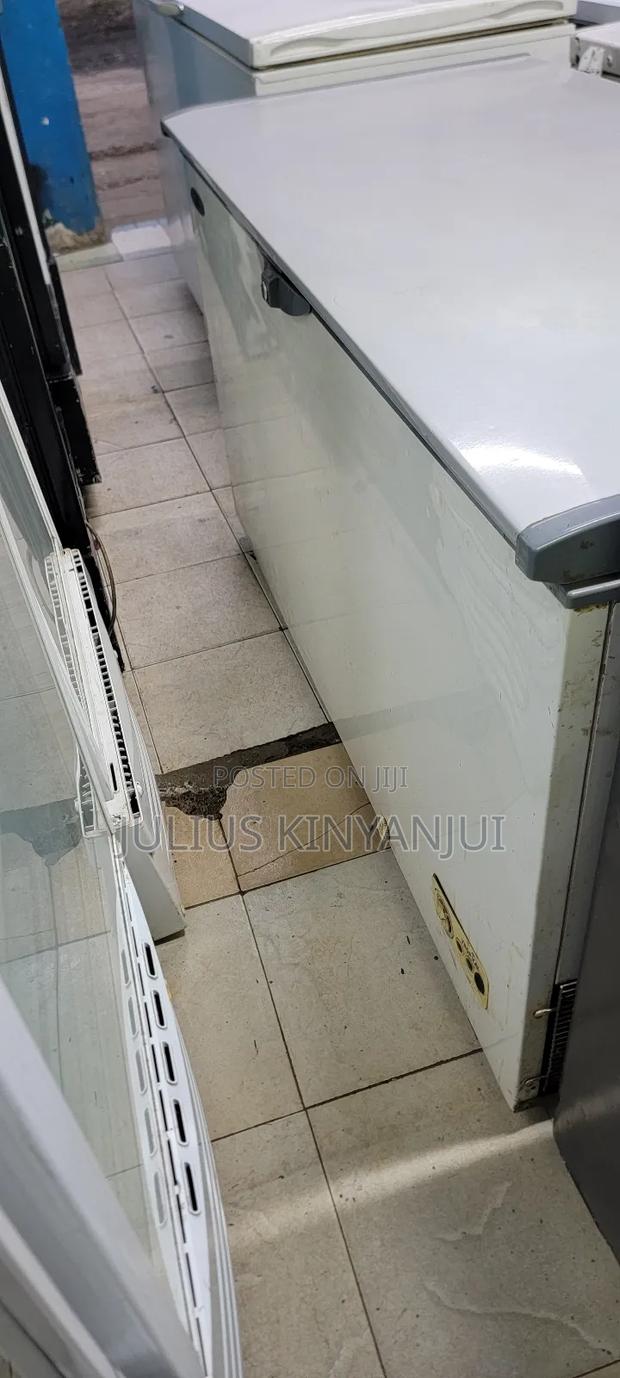 Deep Freezer Westpoint 500L