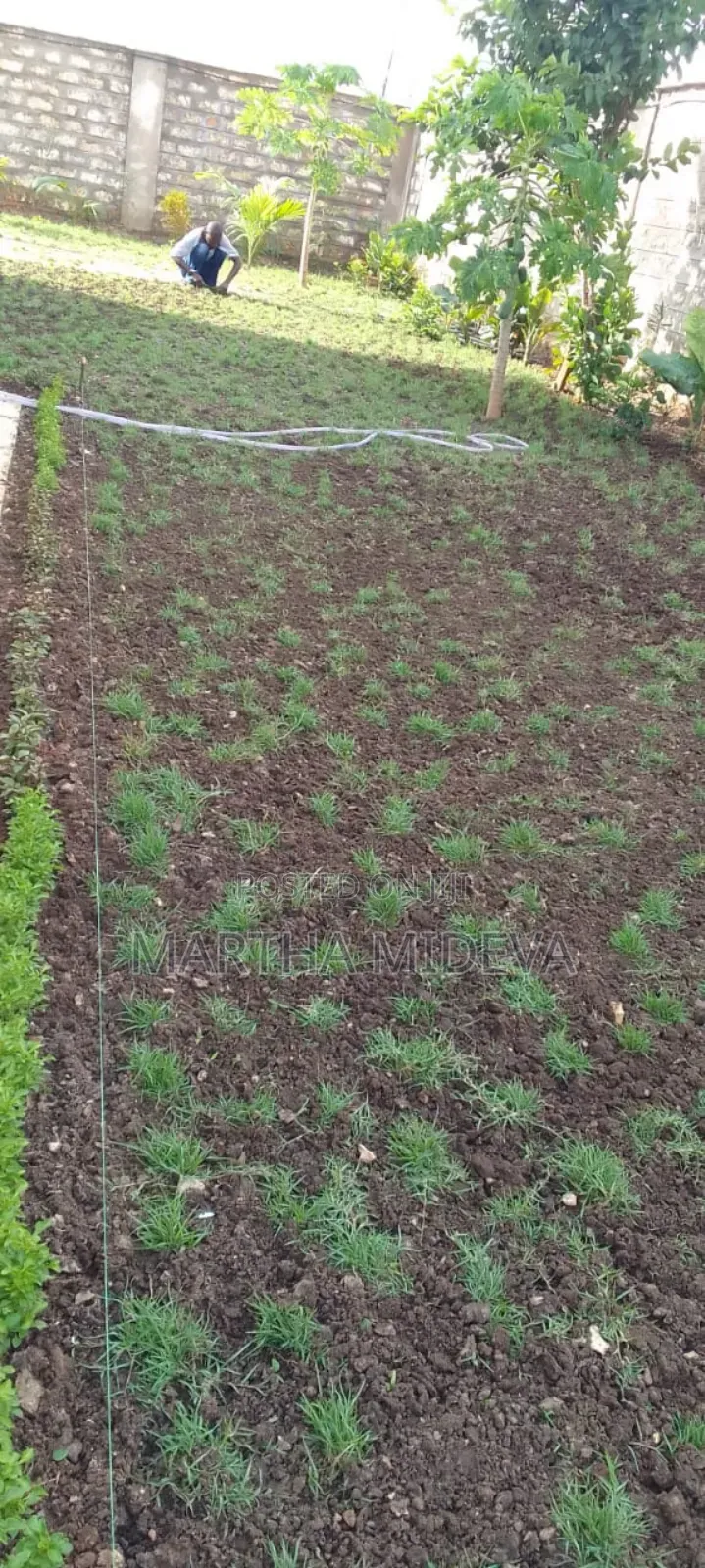 Landscaping Services