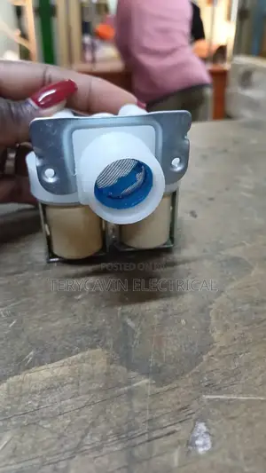 2 Way Washing Machine Solenoid Valves