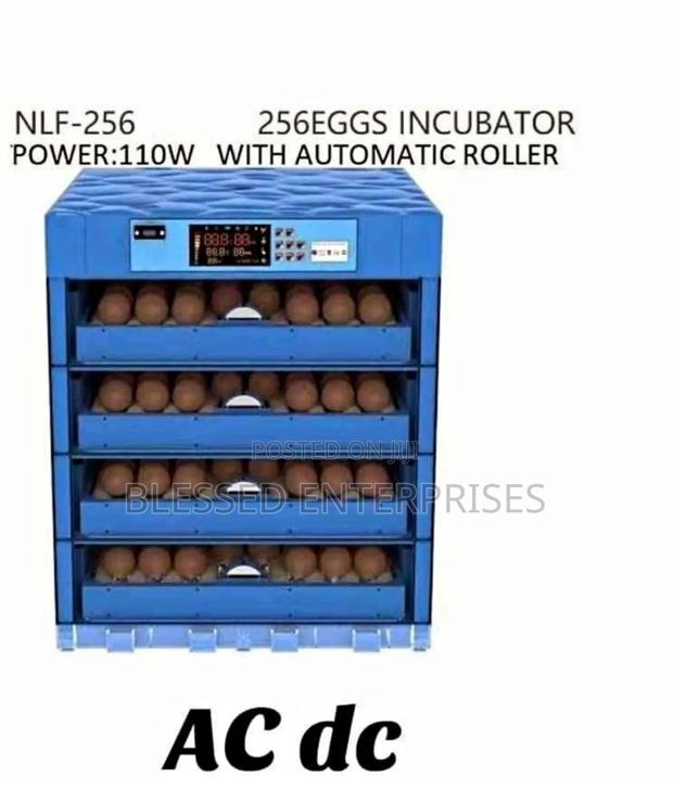 256 Eggs Incubator Machine AC DC / Eggs Incubator Machine256