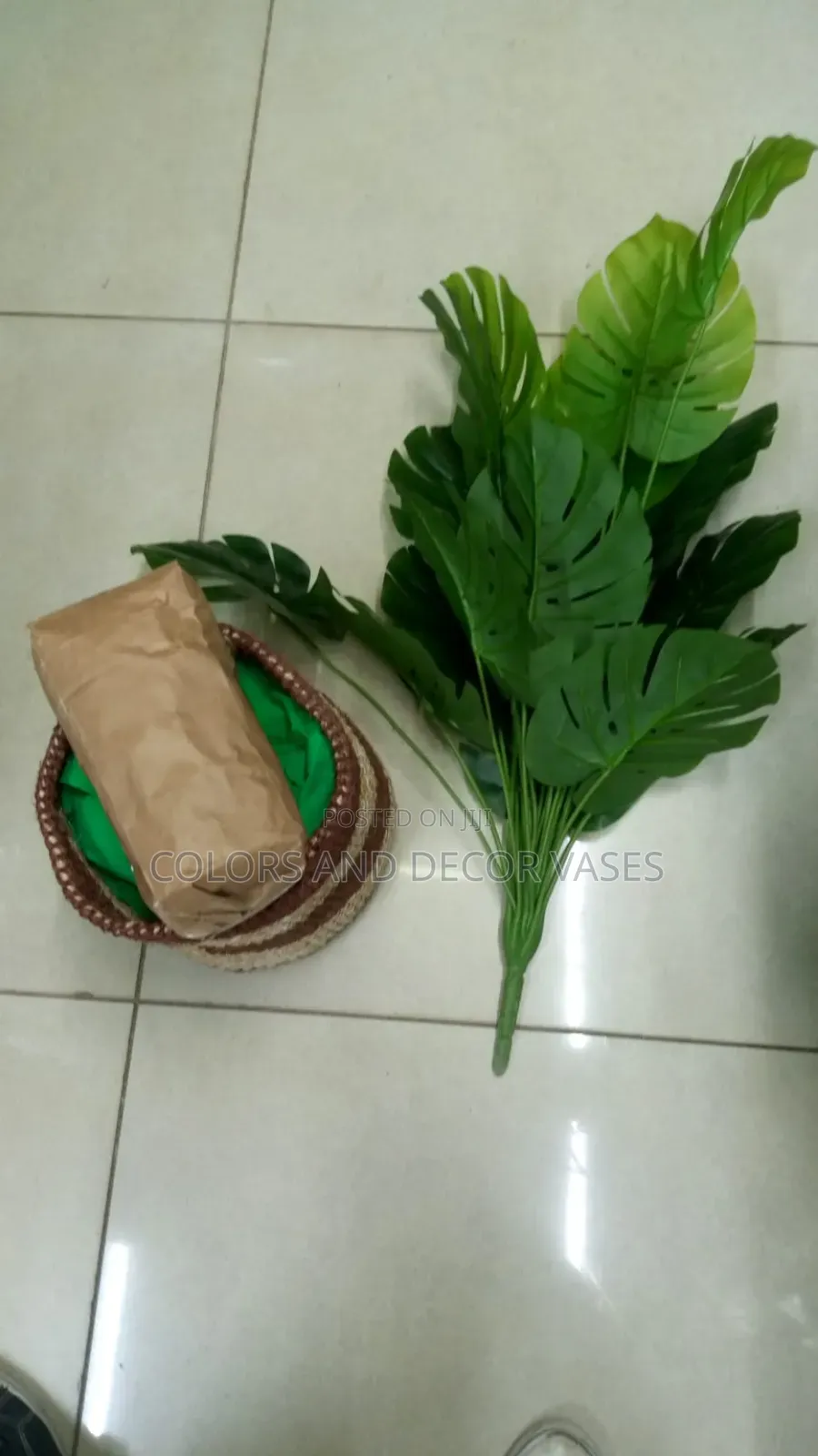 Basket Size, Plant Monstera, Pebbles Stones