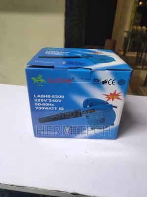 Electronic Blower
