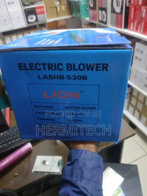 Electronic Blower