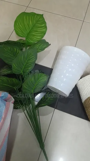 Big Stripped Plant With Plastic Vase KSH 3500
