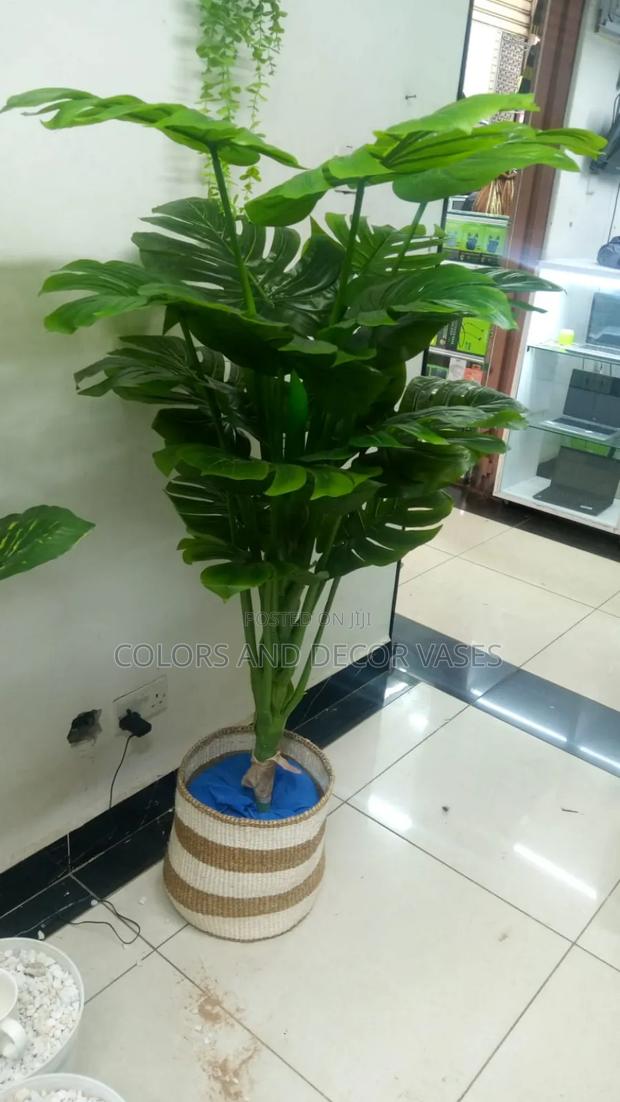 Baskets With Plants and Pebble Stones