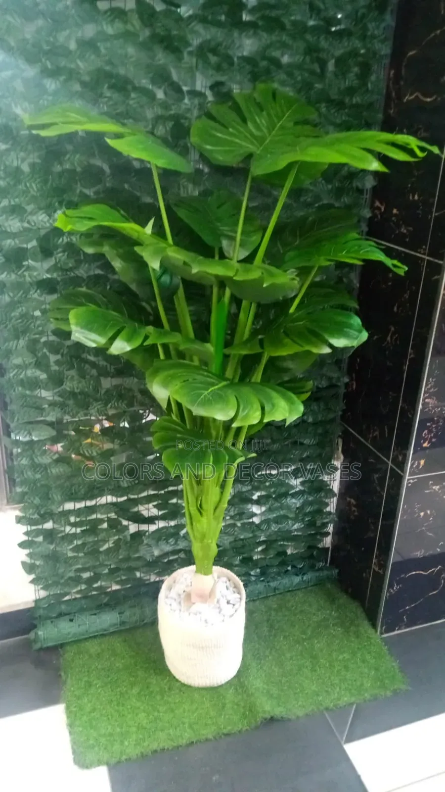 Monstera and Basket 1.6m Long