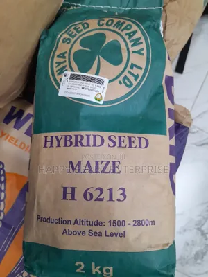 Hybrid Seed Maize H 6213 2kgs