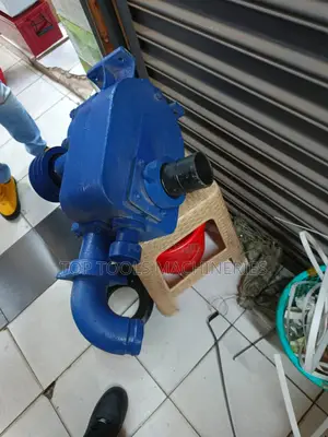 Bare Pump 3" Inch