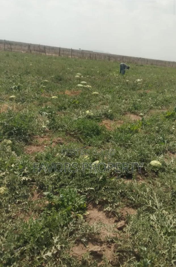 Prime Land for Sale - thumbnail 3