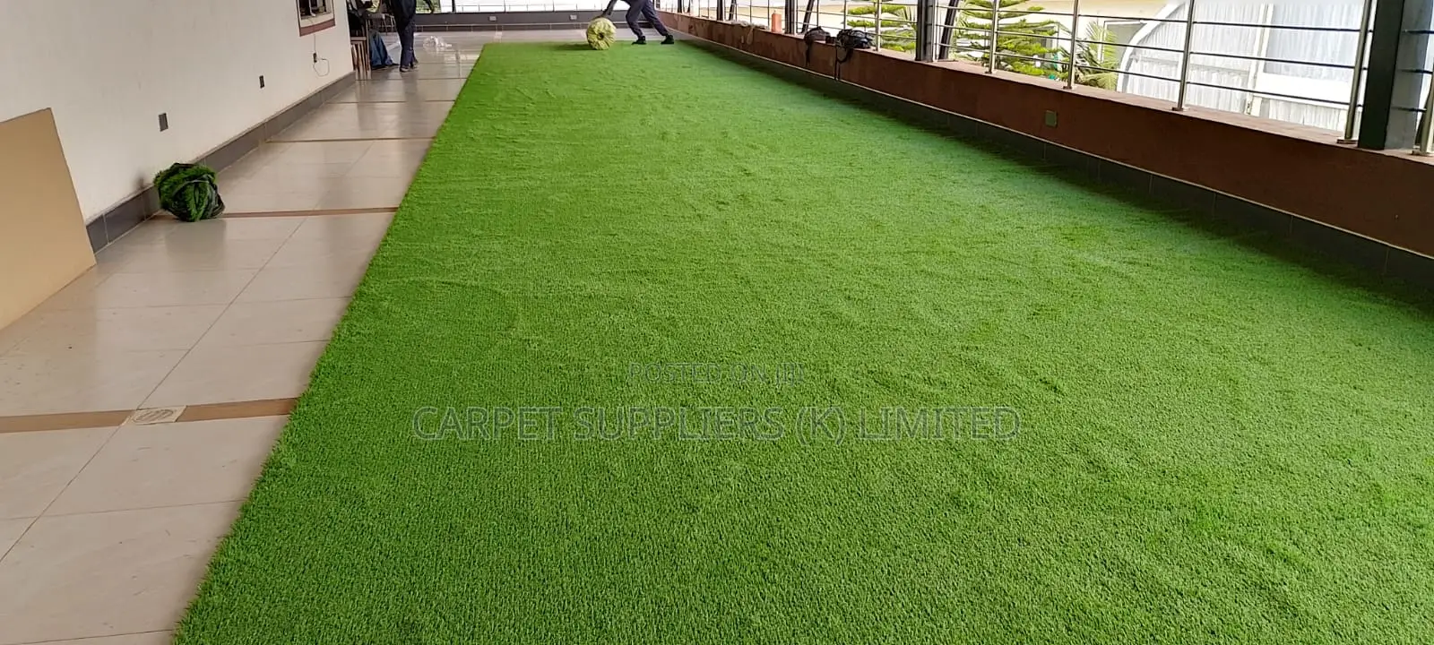 Grasscarpet3