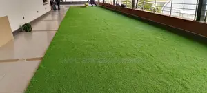 Grasscarpet3