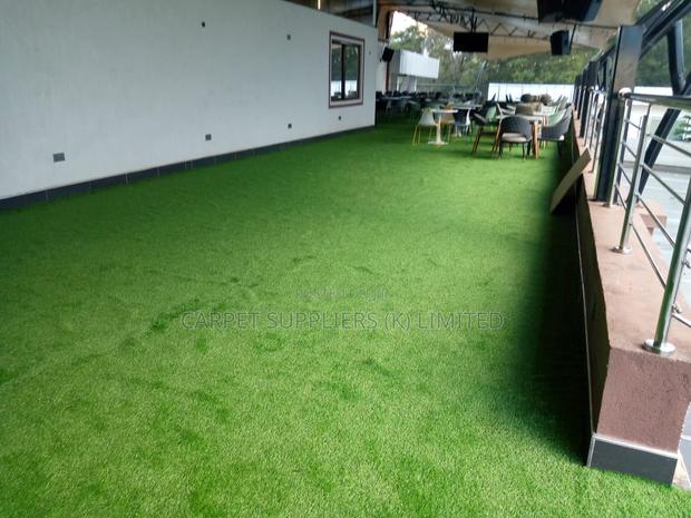 Grasscarpet5