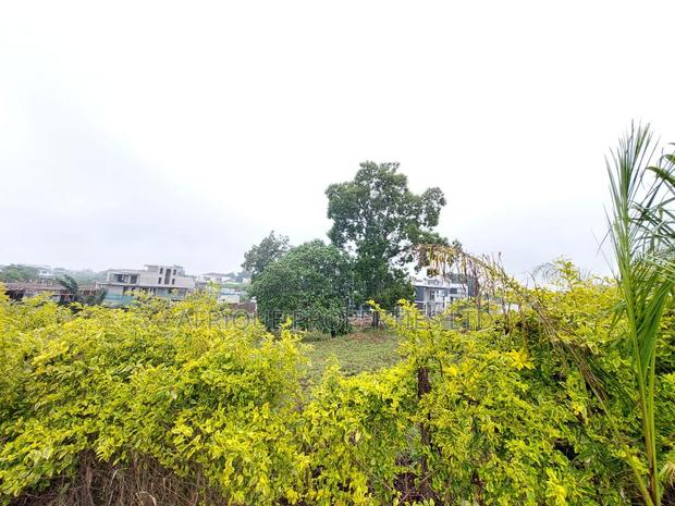 Kijani Ridge Tatu City 1\4 Plot for Sale - thumbnail 5