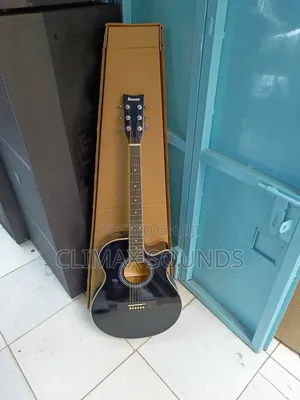 Semi Acoustic Guitar Ibanez 40