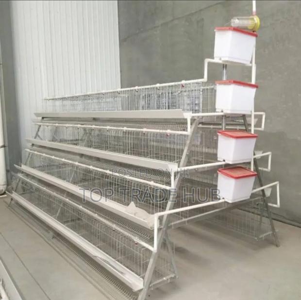Galvanized Poultry Cages 160 Layers Capacity