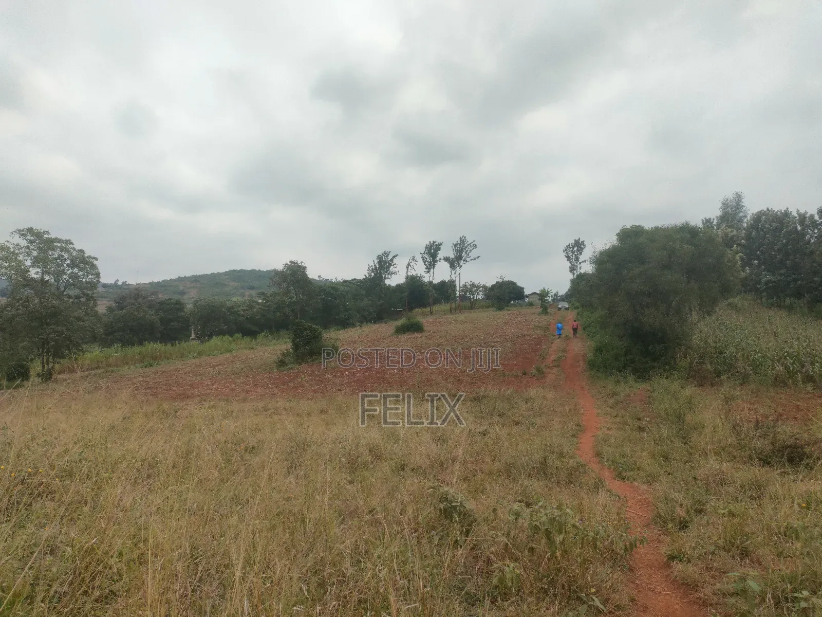 Karatina Marua /Ngaini Quota Plot 100/100