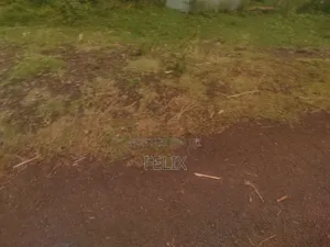 Karatina Marua /Ngaini Quota Plot 100/100