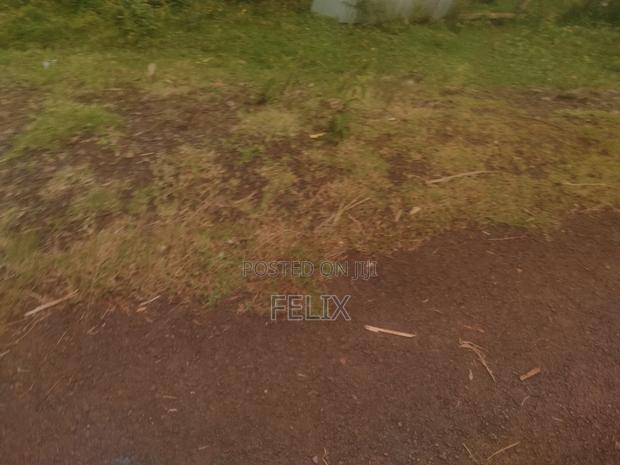 Karatina Marua /Ngaini Quota Plot 100/100 - thumbnail 2