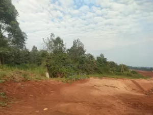 Karatina Marua /Ngaini Quota Plot 100/100