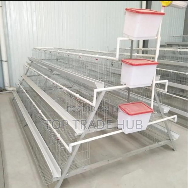 Galvanized 160 Layer Capacity Chicken Cages