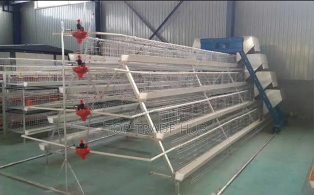 Durable Chicken Cages With 160 Layer Capacity