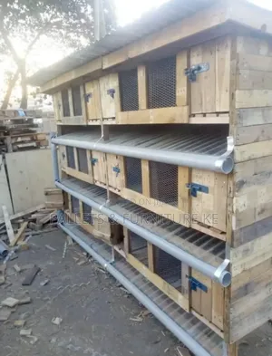 Bunny Haven Cages