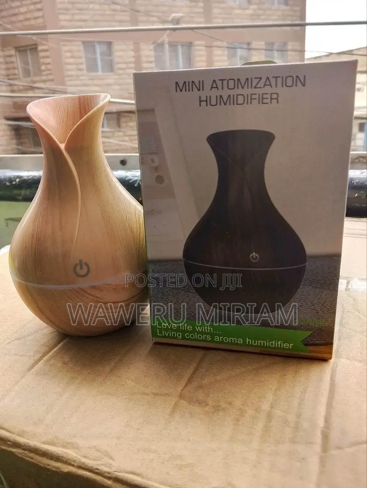 Mini Humidifier