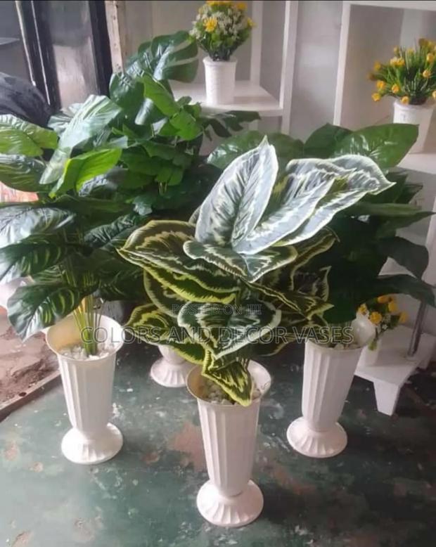 Plants and Vases KSH 1500 Plus Pebbles