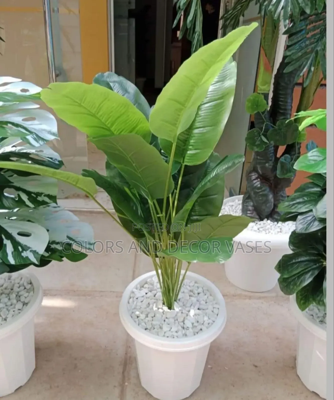 Banana 80cm Long With Plastic Vase